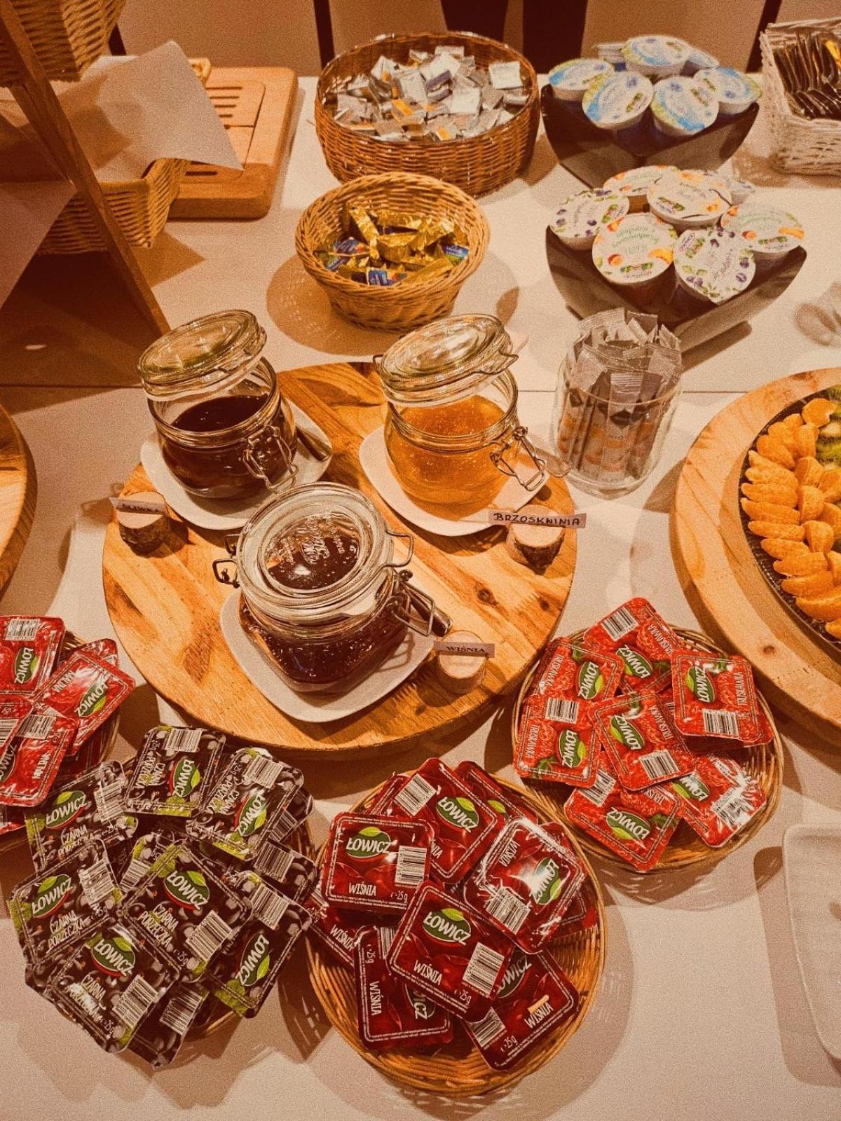 Hotel Borowiecki Лодзь Екстер'єр фото